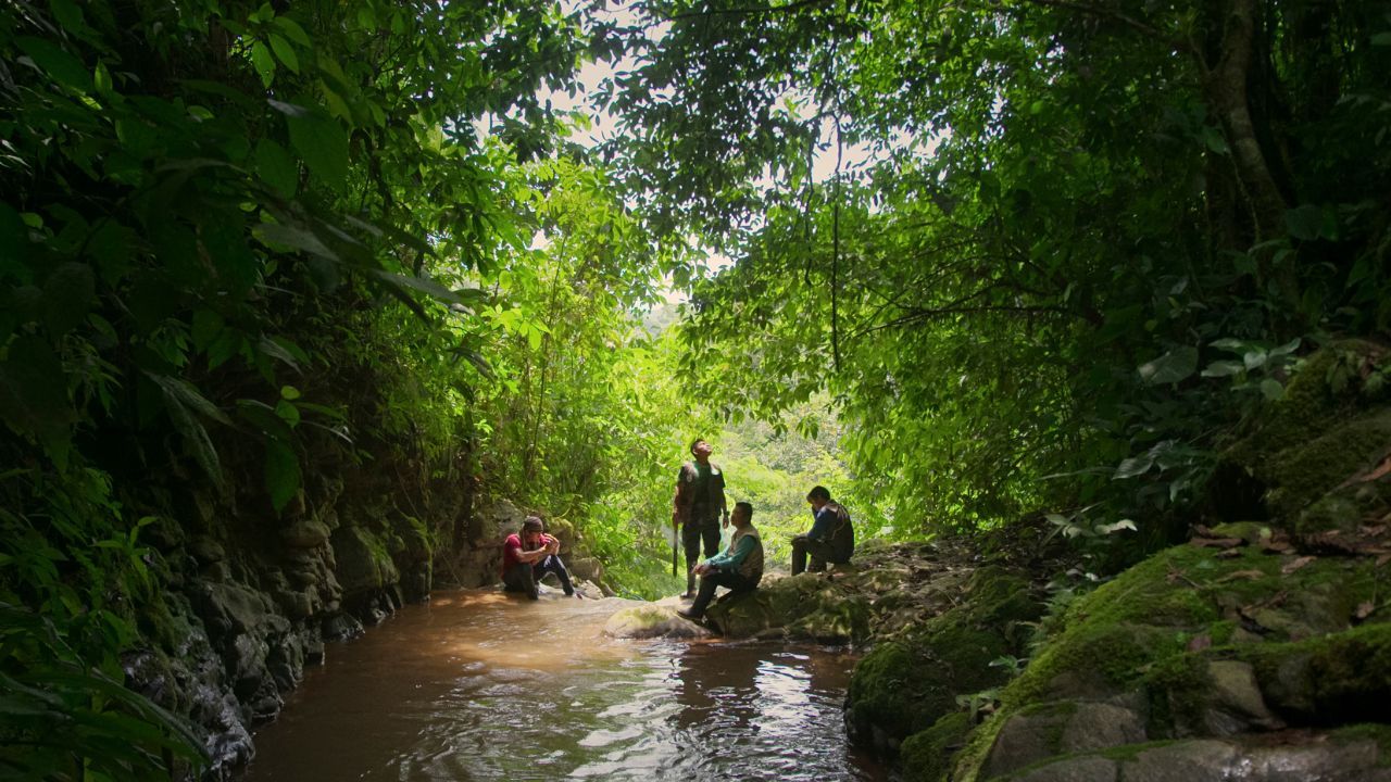 indigenas_en_la_selva_del_guaviare_0.jpg