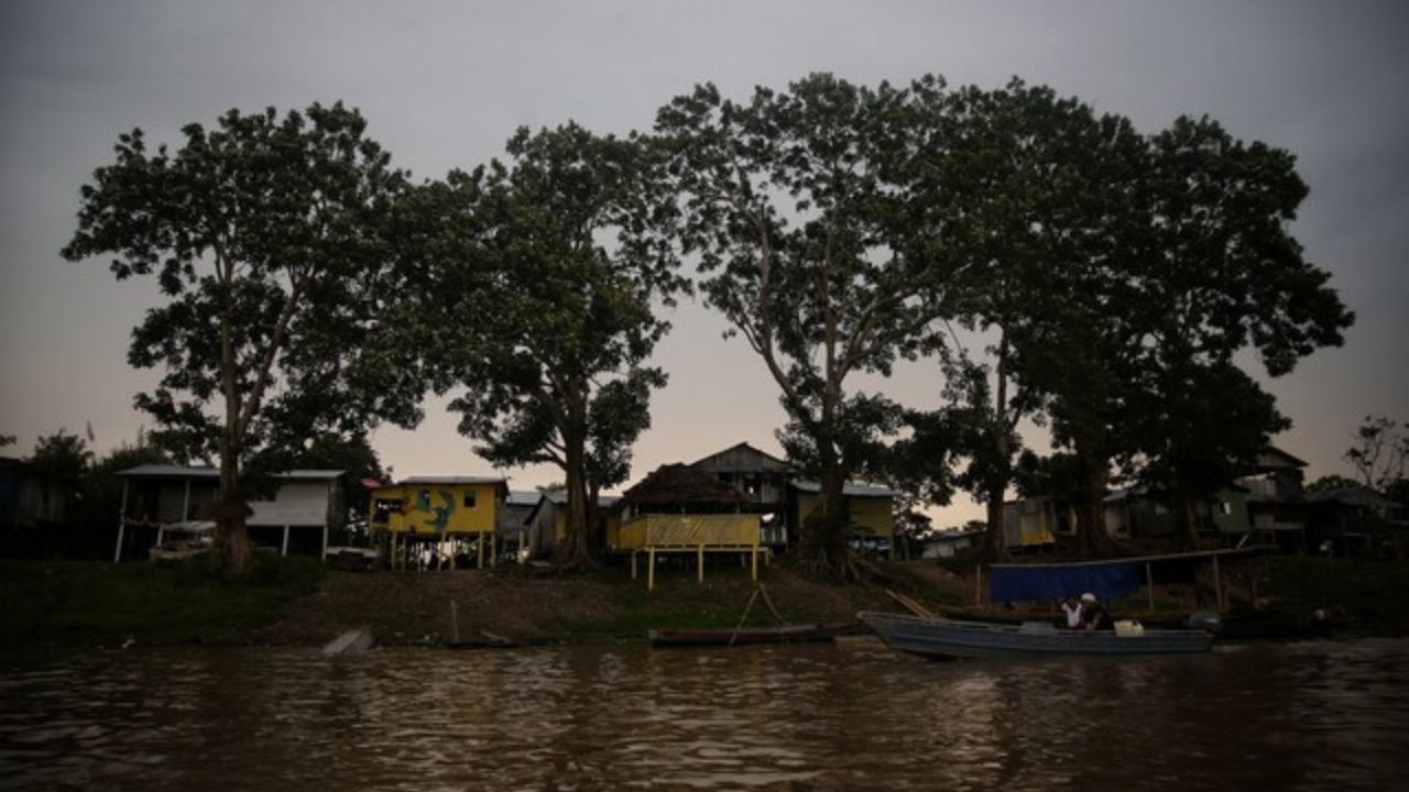 amazonas_isla_de_micos_0.jpg