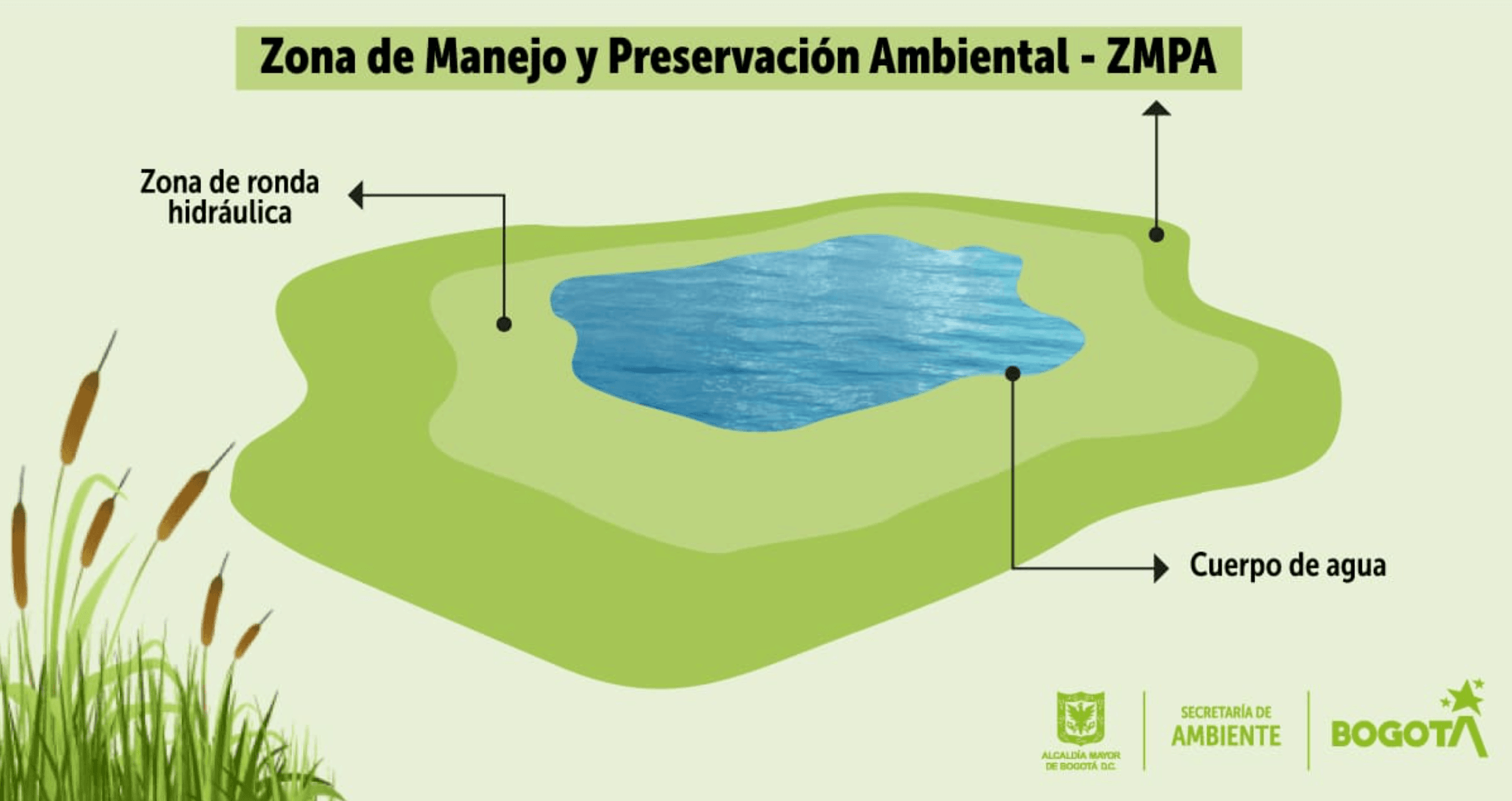 captura_de_pantalla_2025-07-21_a_la_s_10.48.23_a.m.png