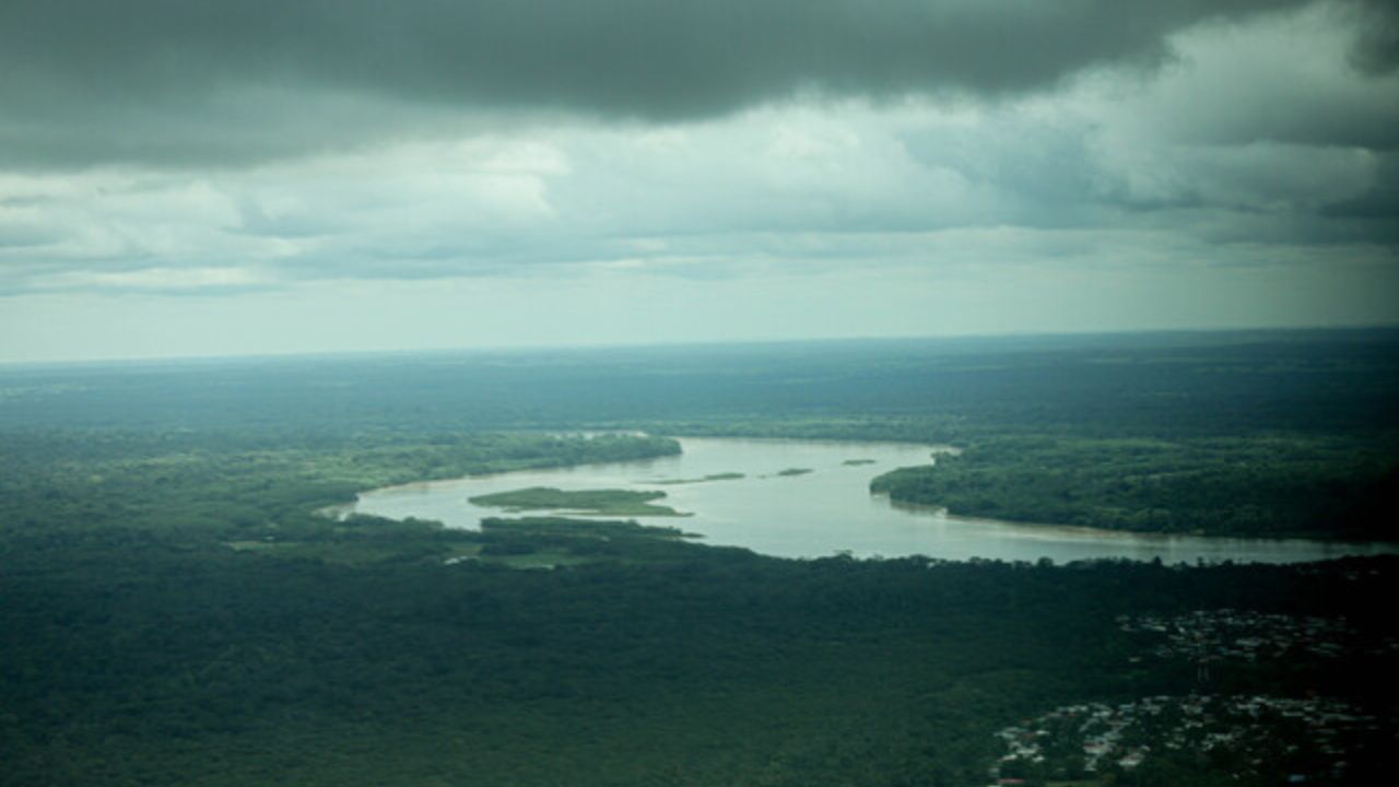 bosques_colombia.jpg