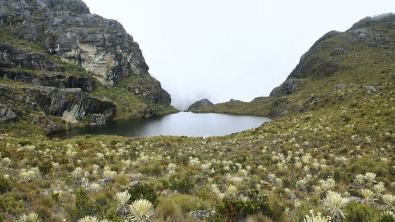 proteccion_paramo_de_santurban.jpg