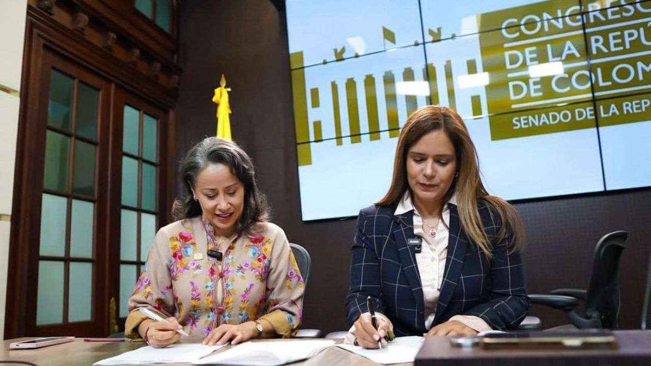proyecto_ley_decentes.jpg