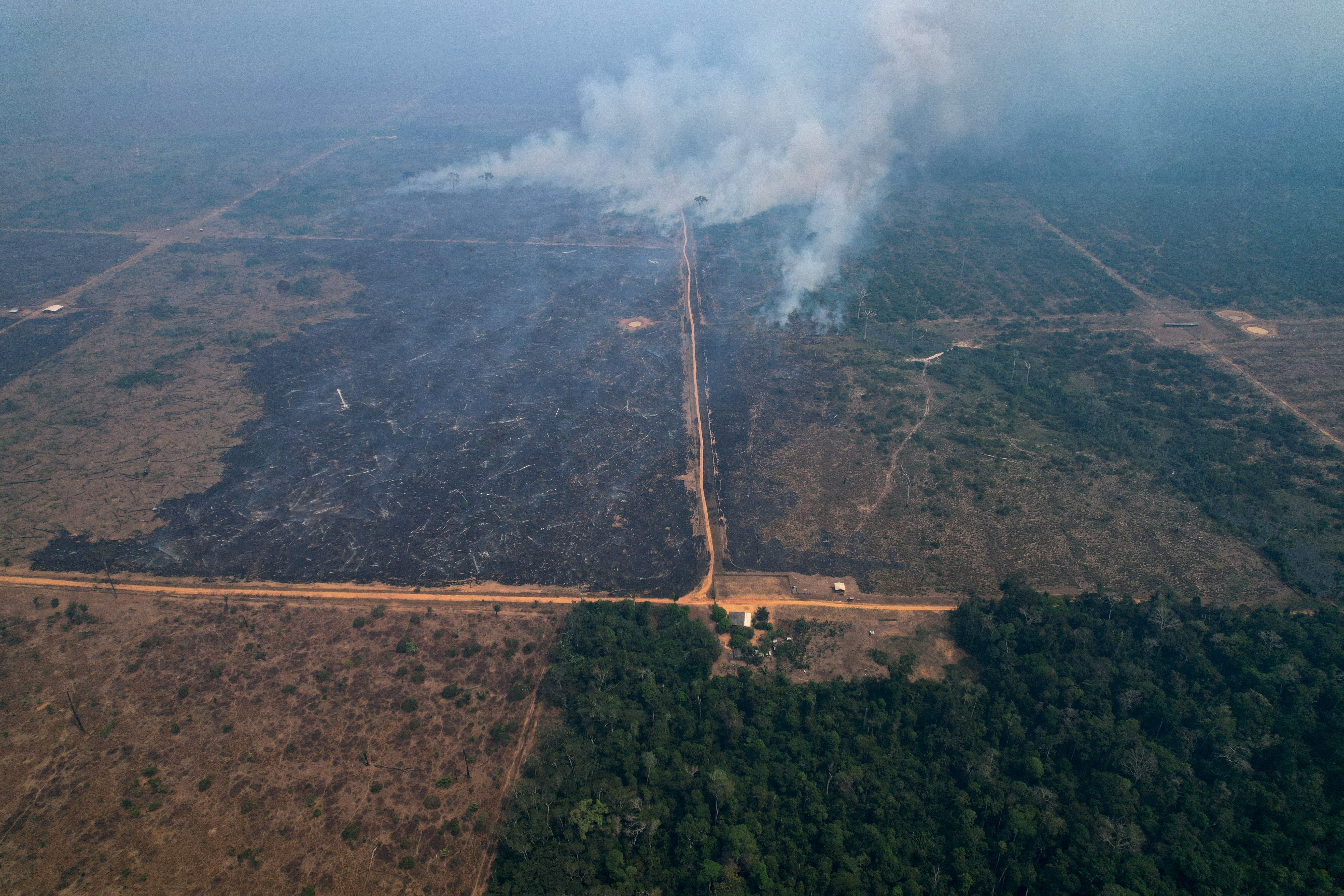 2025-07-07t100150z_1867781322_rc2be9adfa8y_rtrmadp_3_environment-brazil-amazon-logging.jpg