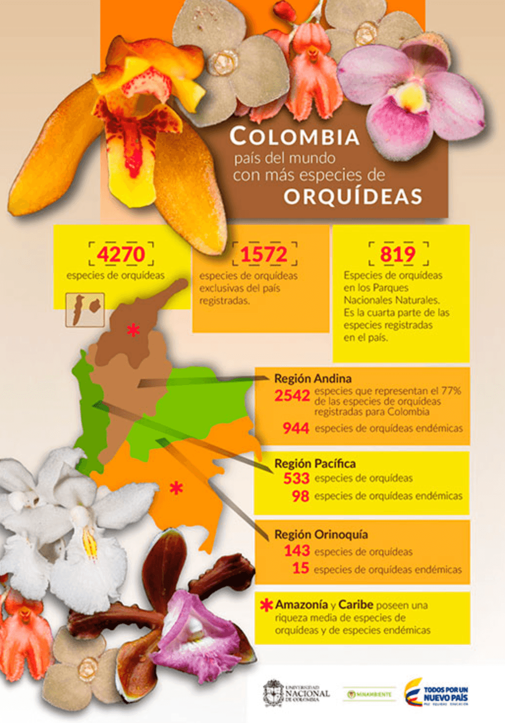 Colombia es el país con mayor número de especies de orquídeas en el mundo
