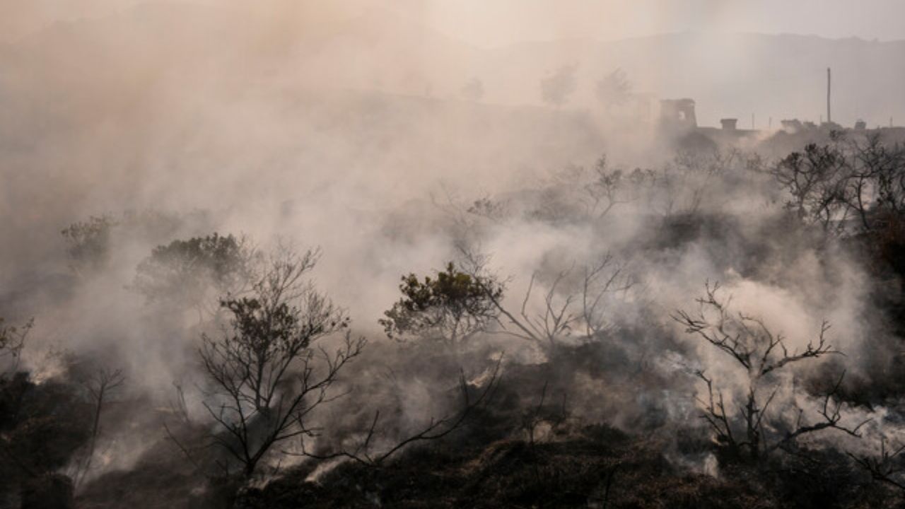 Incendios forestales