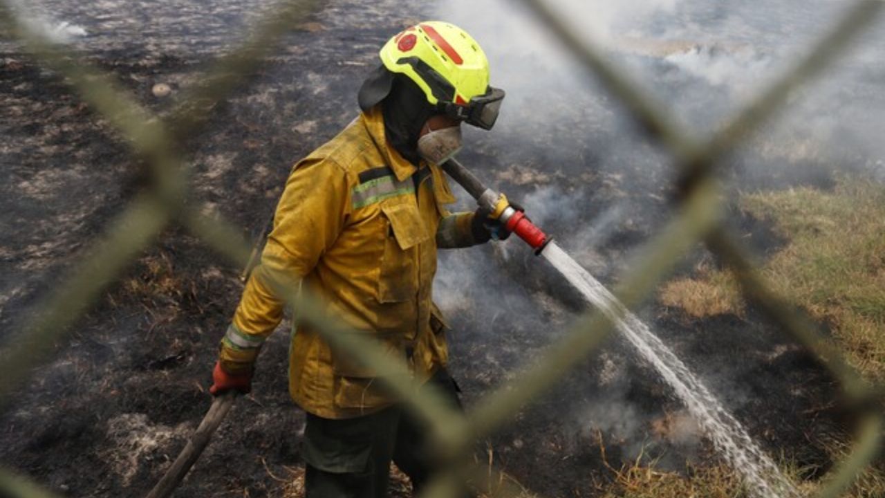 Incendio forestal