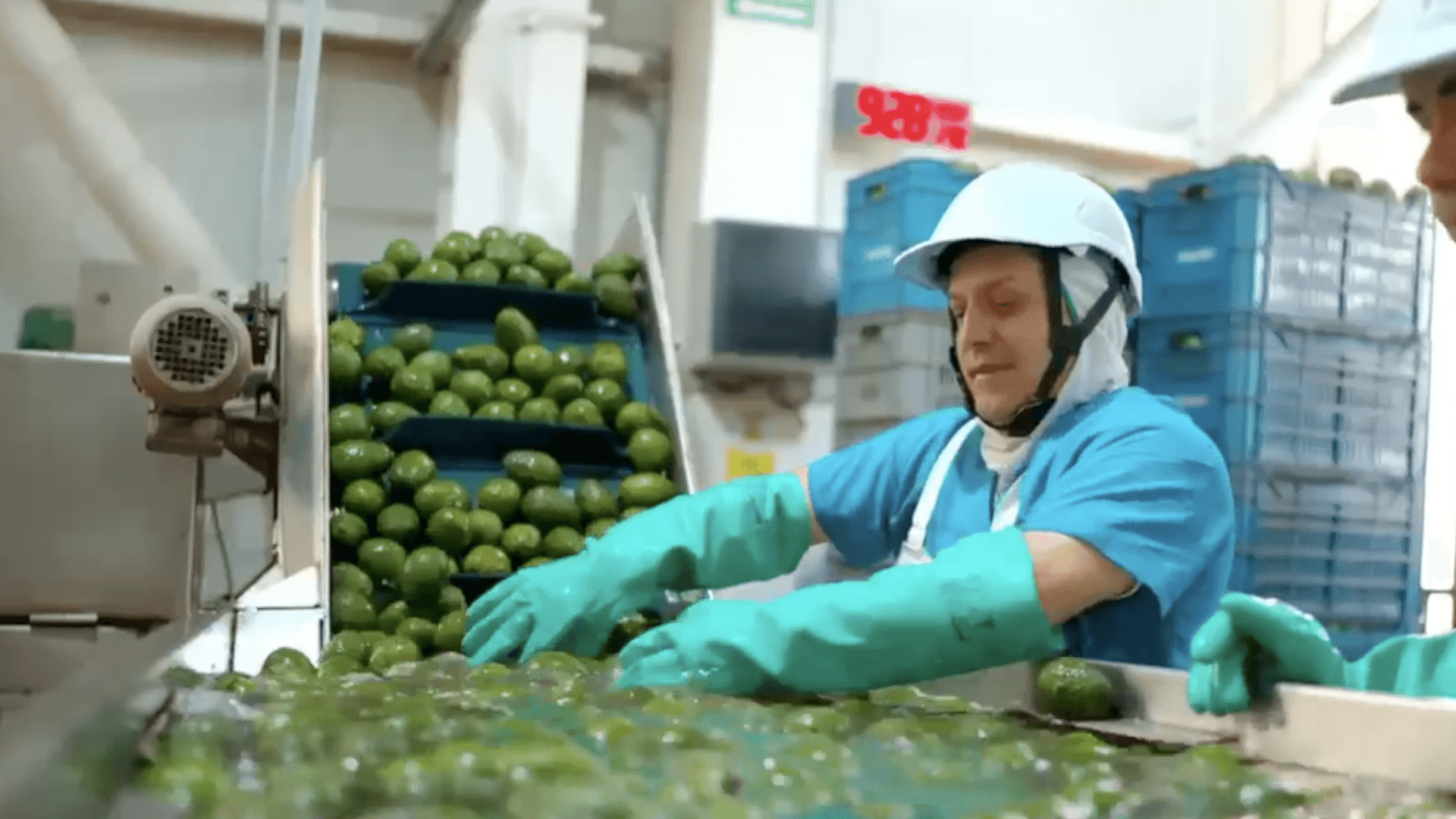 Aguacates
