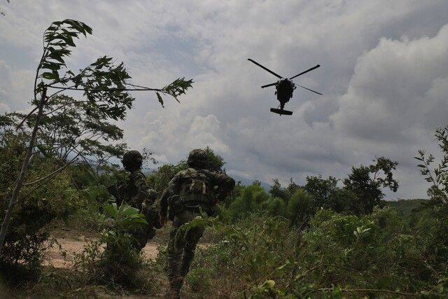 Ejército en campos de coca.