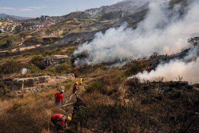Incendios forestales.