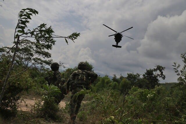 Ejército en campos de coca.