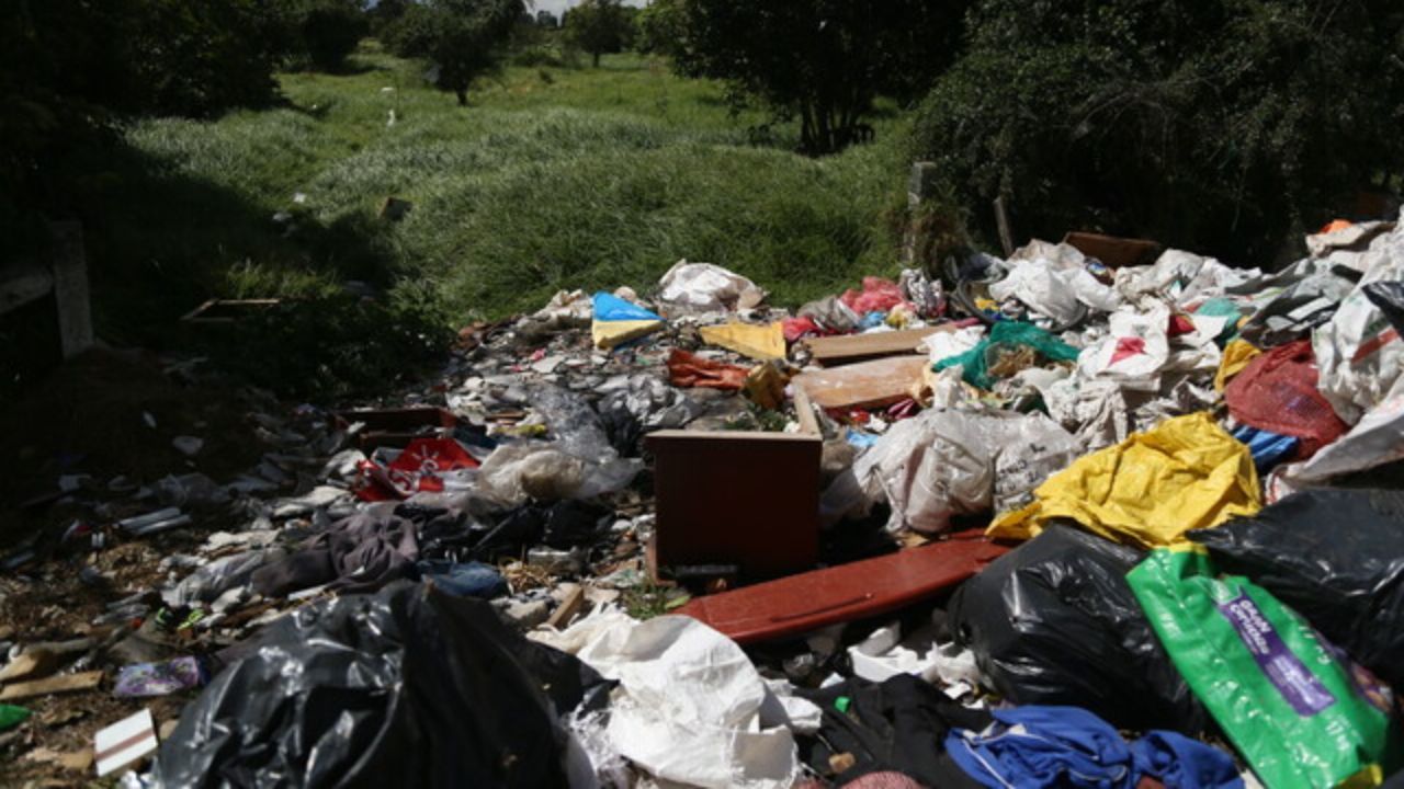 Basura 7