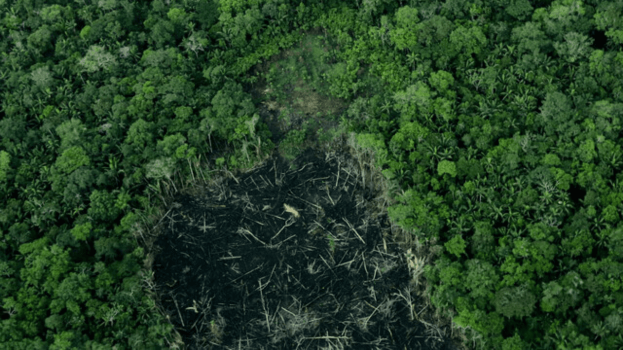 Deforestación Amazonas_