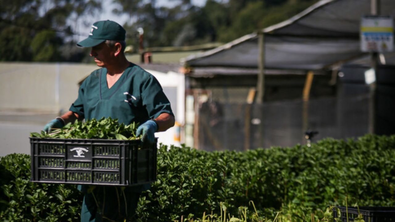Exportaciones 5