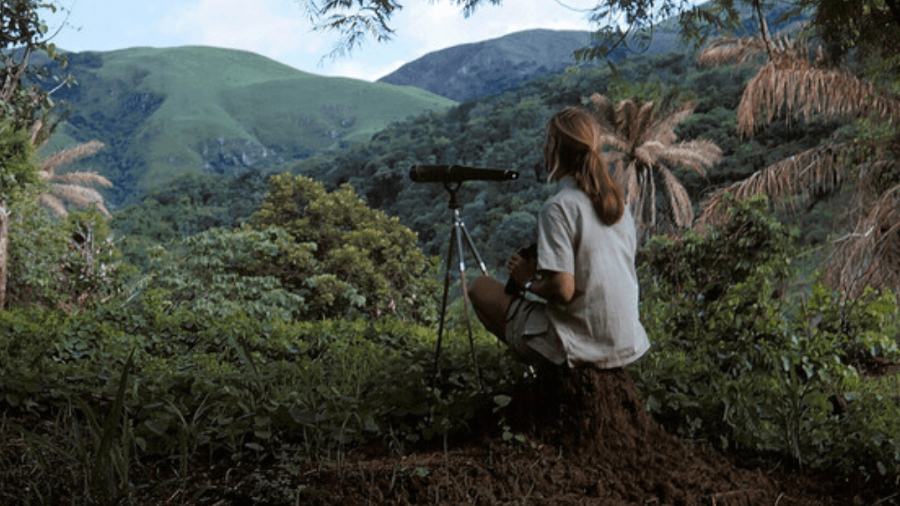 Jane Goodall11