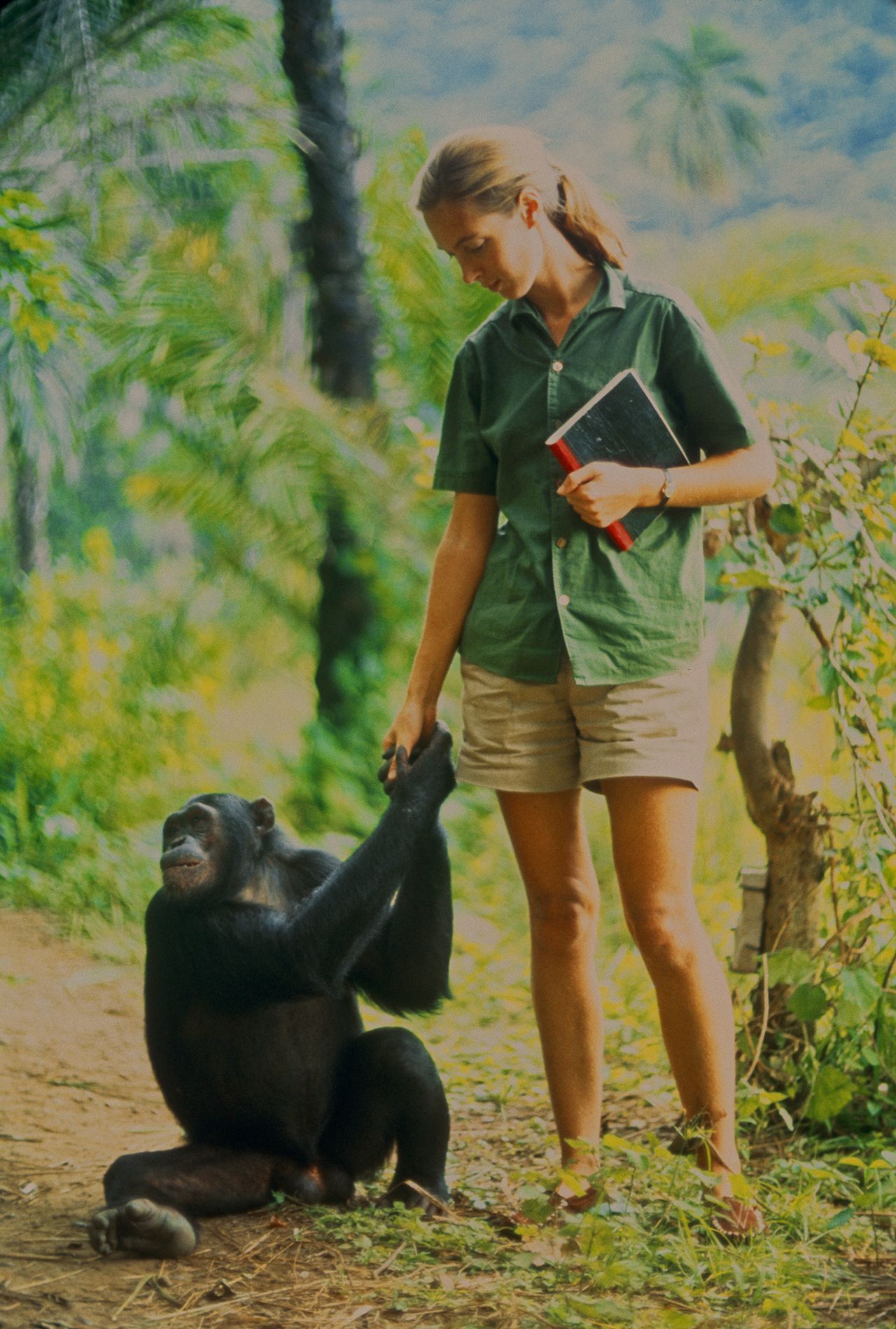 Jane Goodall3