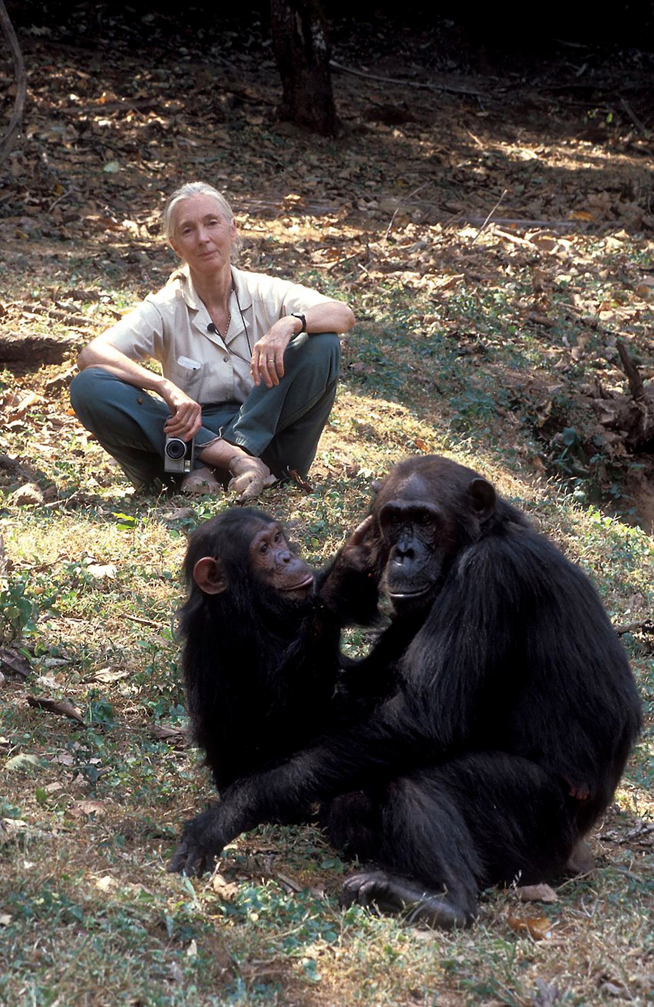 Jane Goodall4