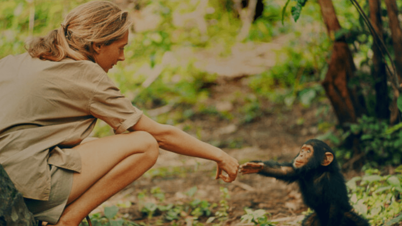 Jane Goodall8