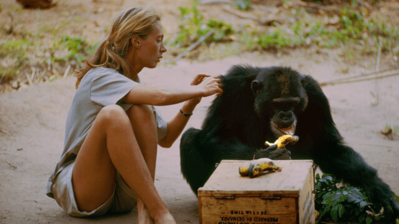Jane Goodall9
