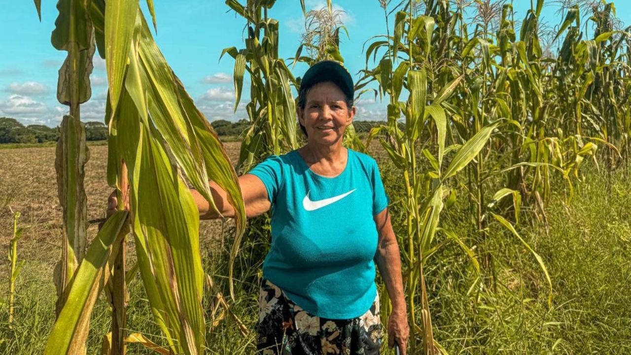 Mujeres víctimas del conflicto armado