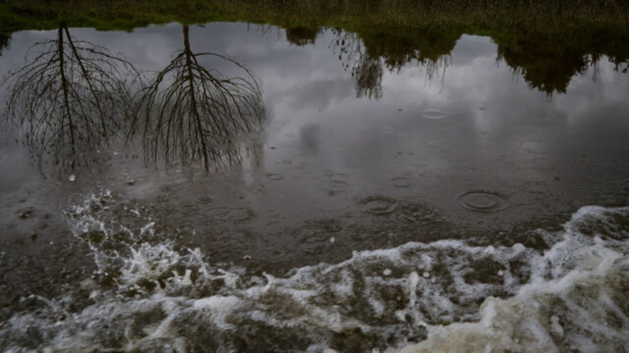 Río Bogotá 6