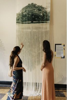 Obra de arte Xaman de la artista Ana González