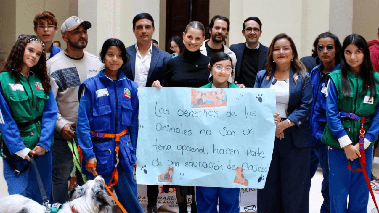 Ley Empatía 2