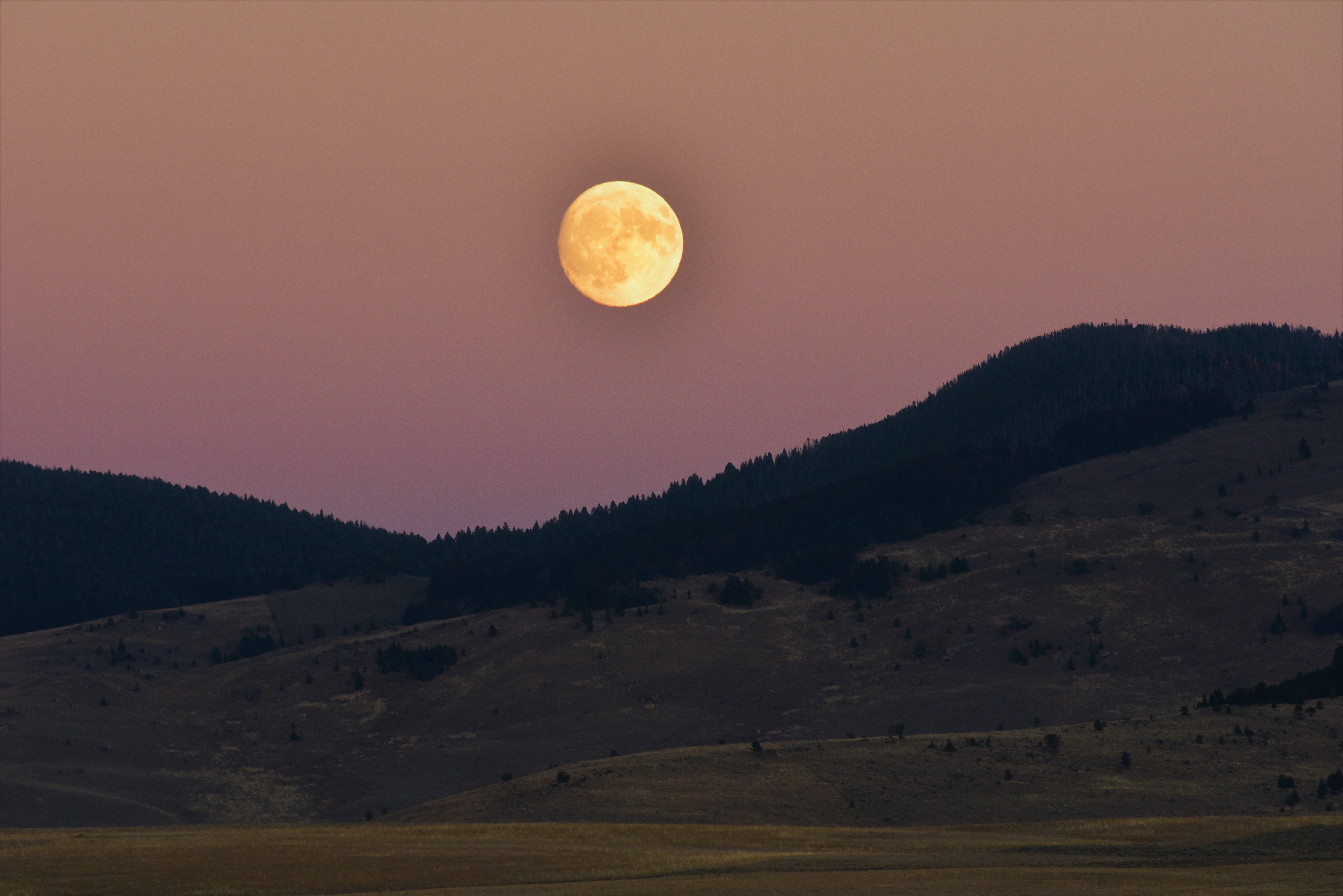 luna 3