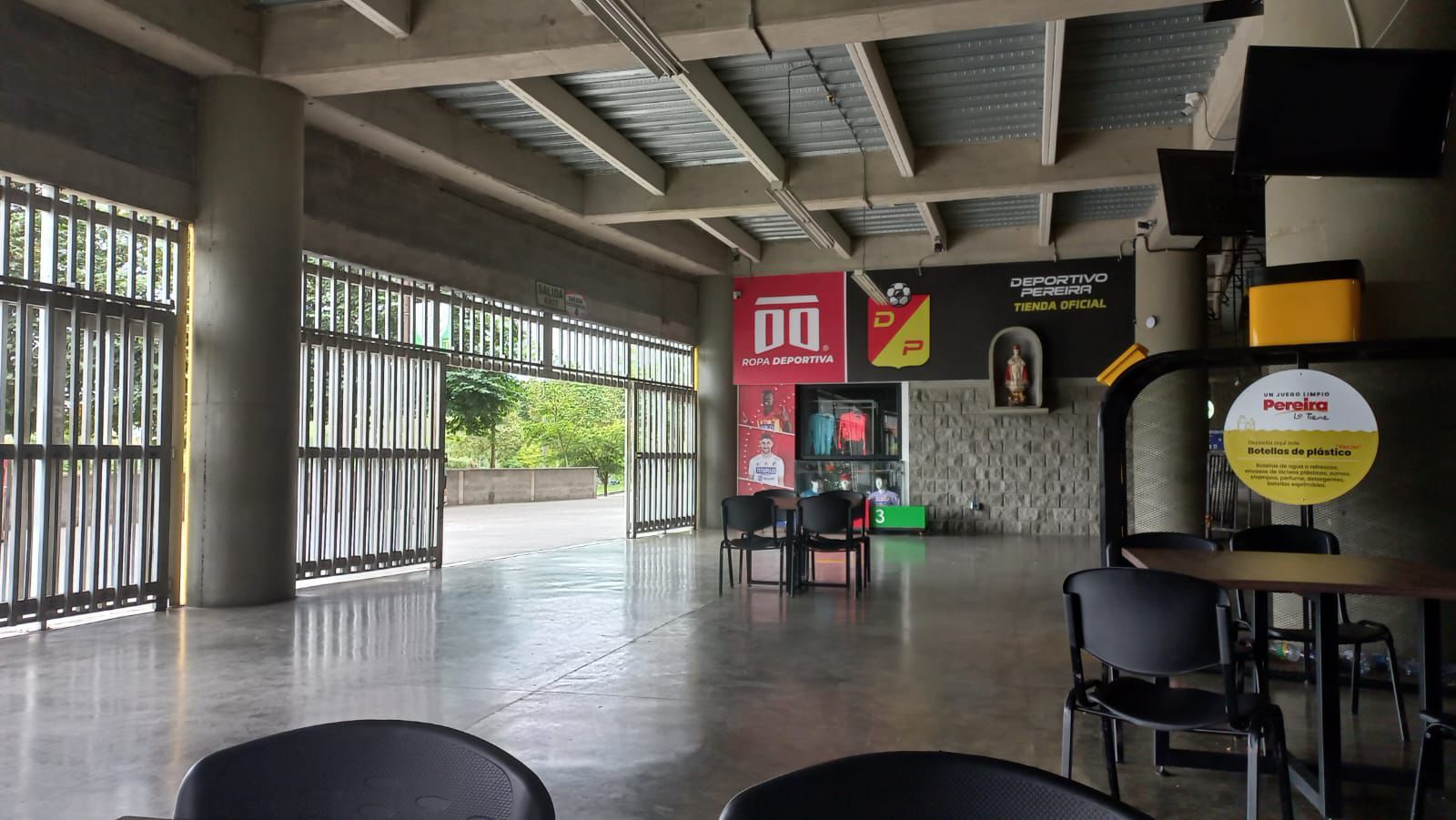 Depoetivo pereira 2