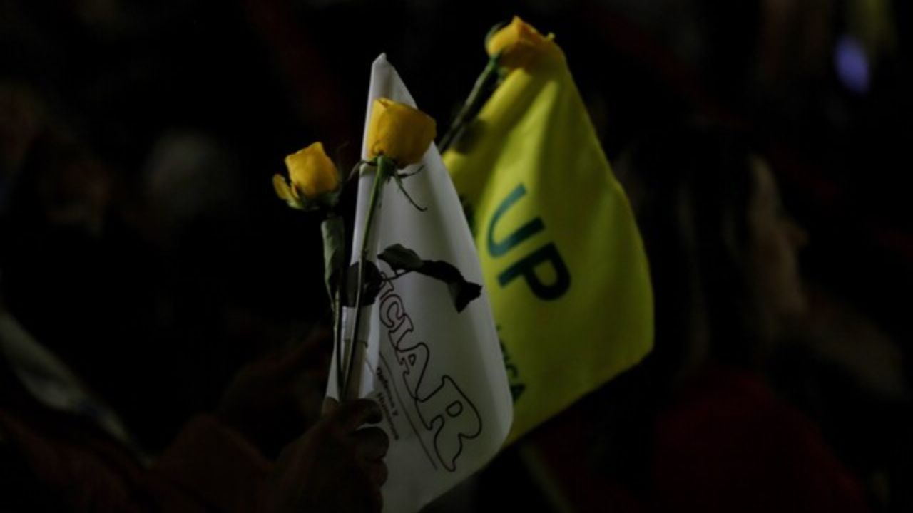 Unión Patriótica ante el CNE 2