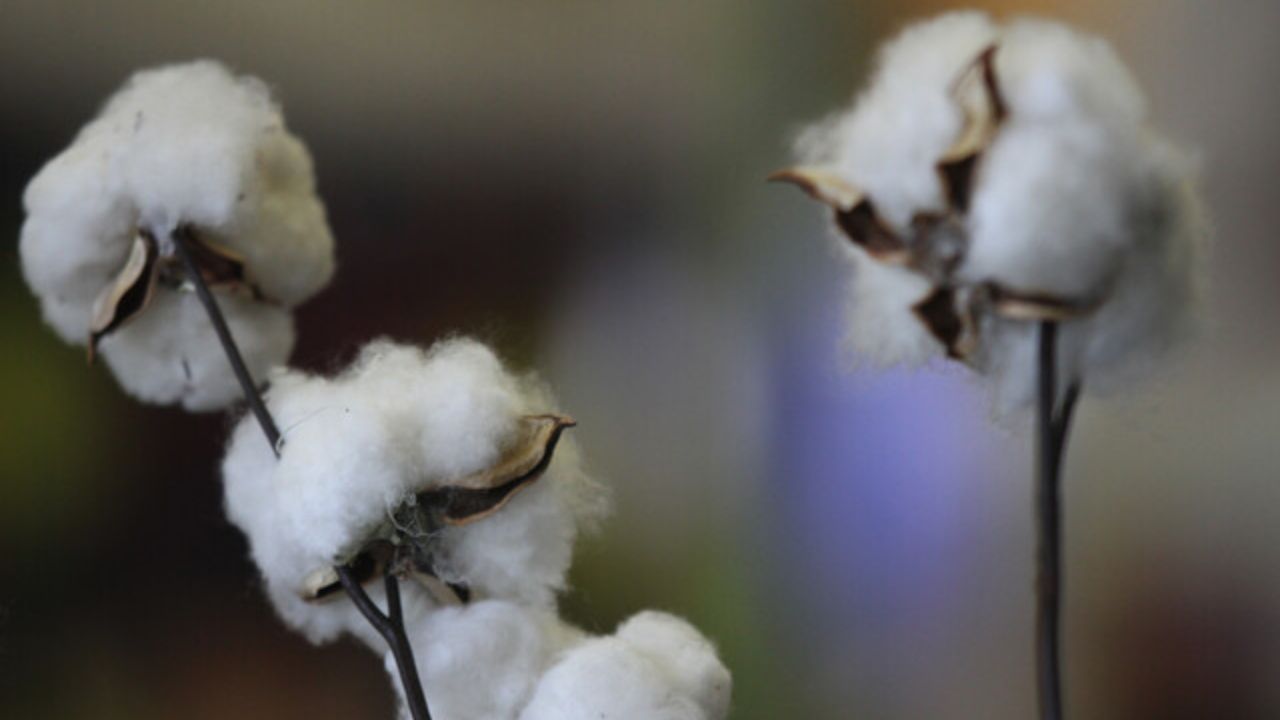 Aranceles sector textil