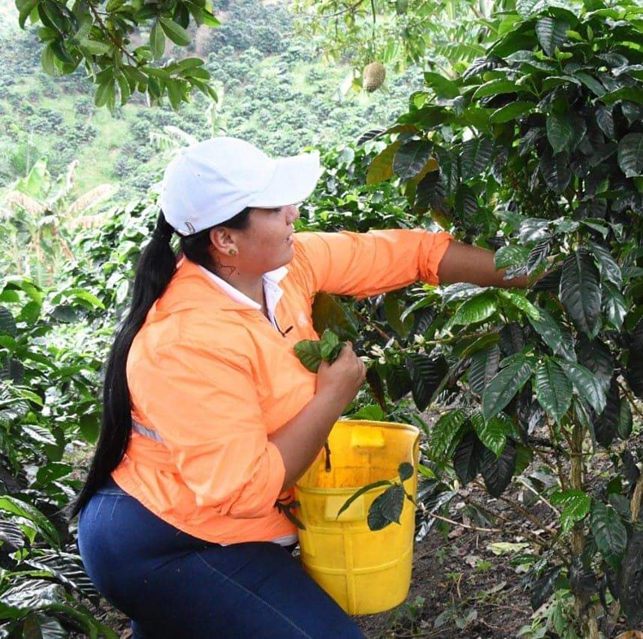 Carolina Cabrera, cafetera colombiana