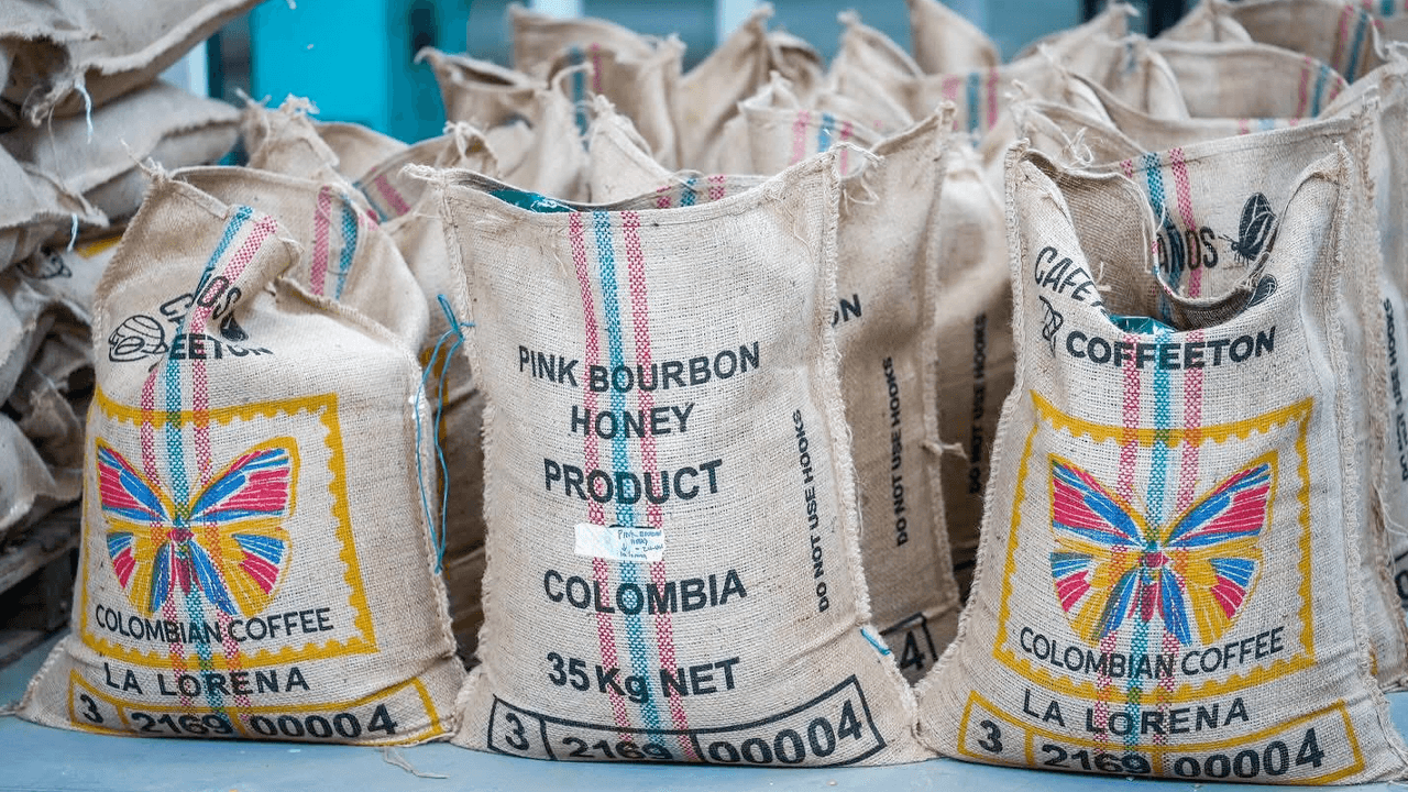Café de exportación