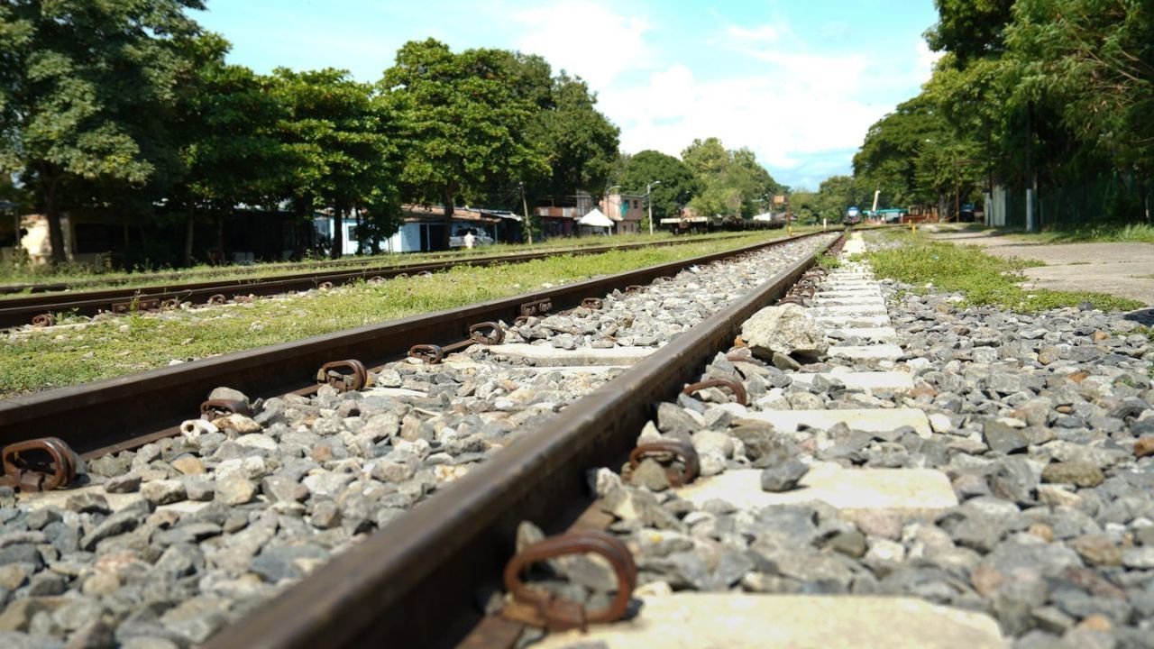 Tren La Dorada 5