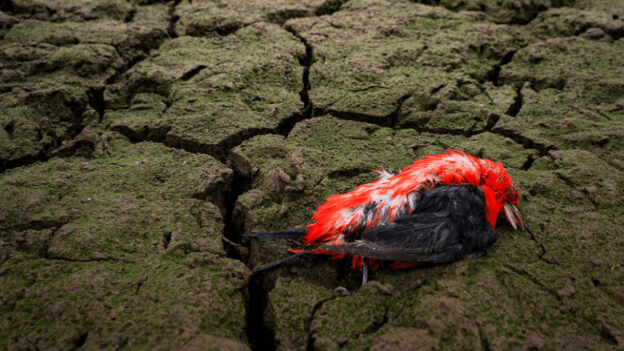 Cambio climático