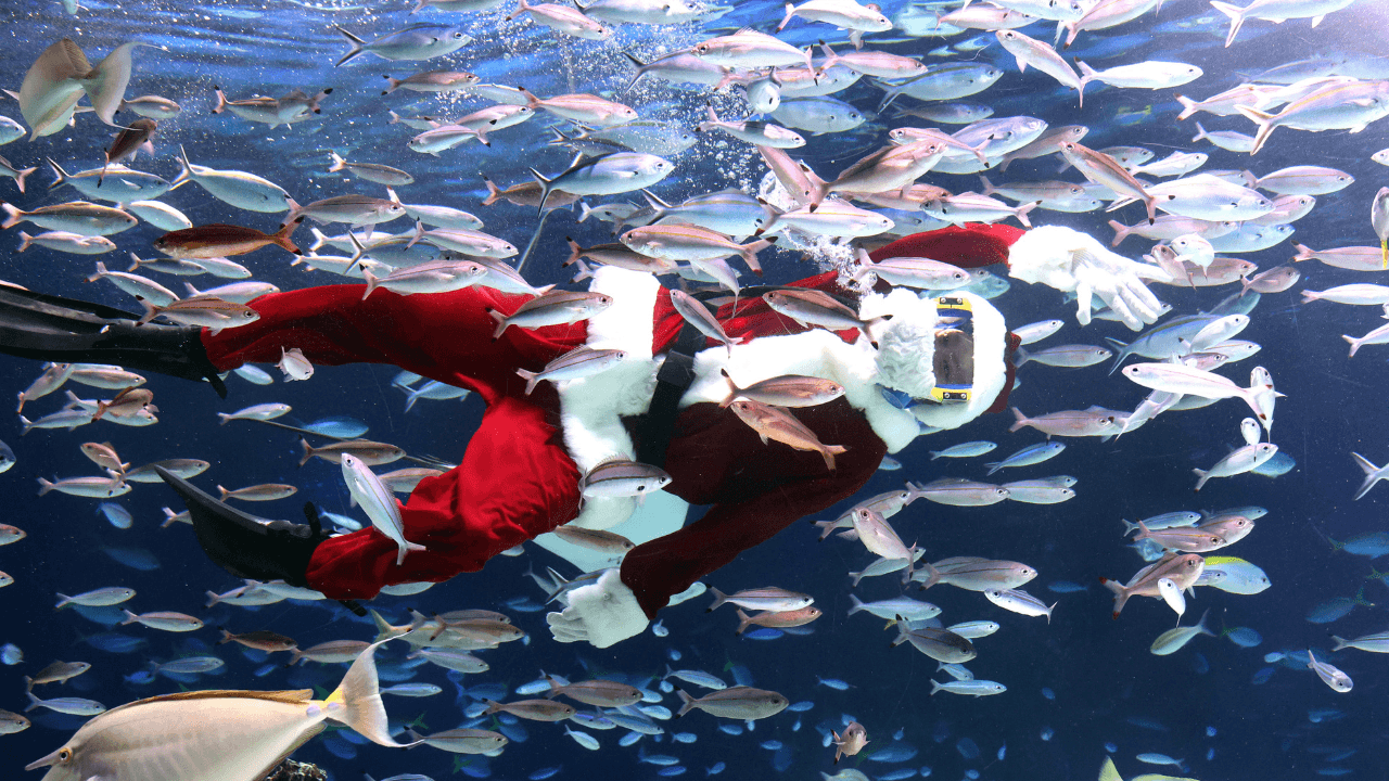 Un buzo disfrazado de Papá Noel nada en una gran pecera mientras alimenta a los peces en el acuario Sunshine de Tokio (Japón)