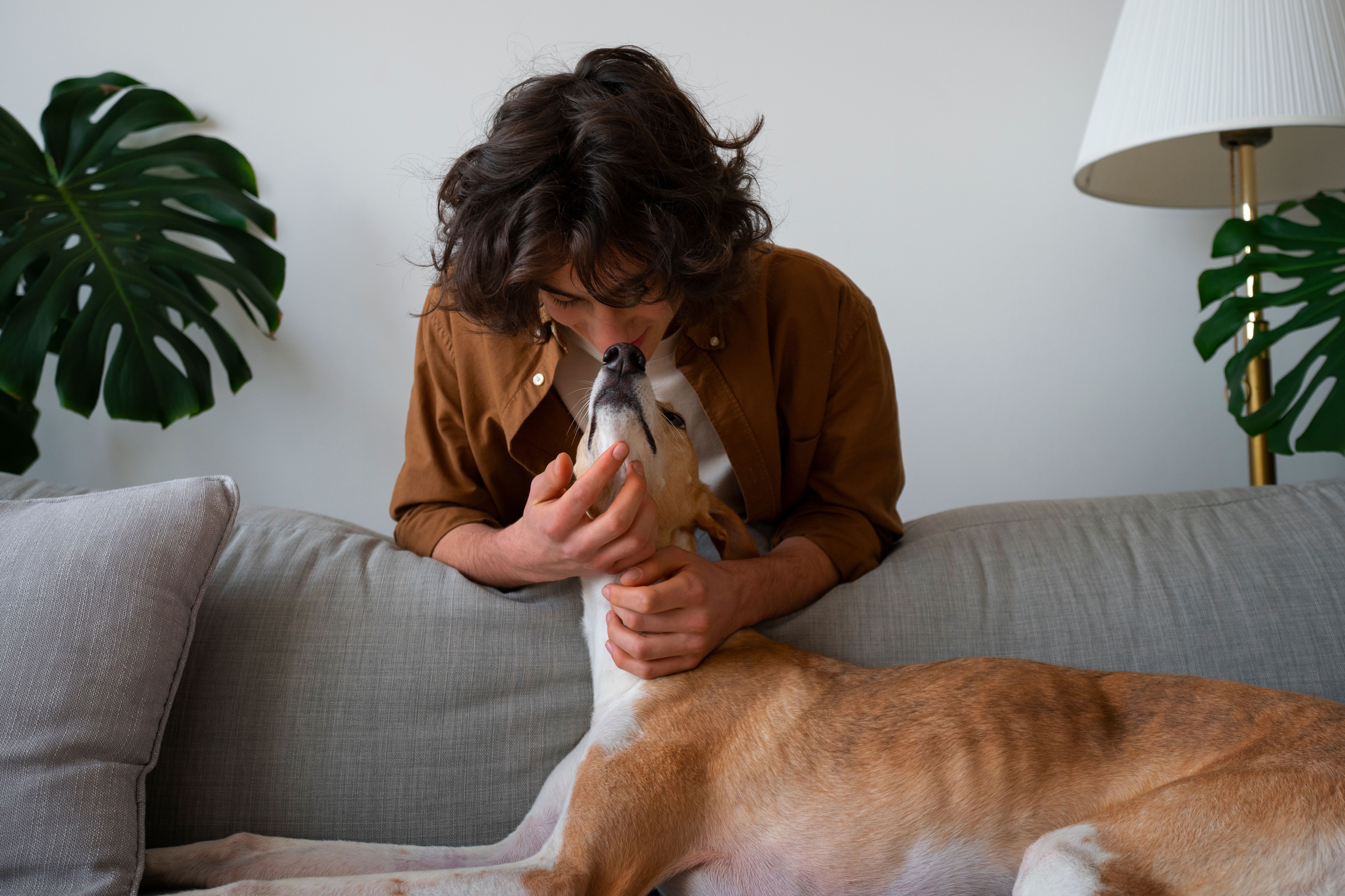 Las mascotas ocupan un lugar central en las familias multiespecie en Colombia