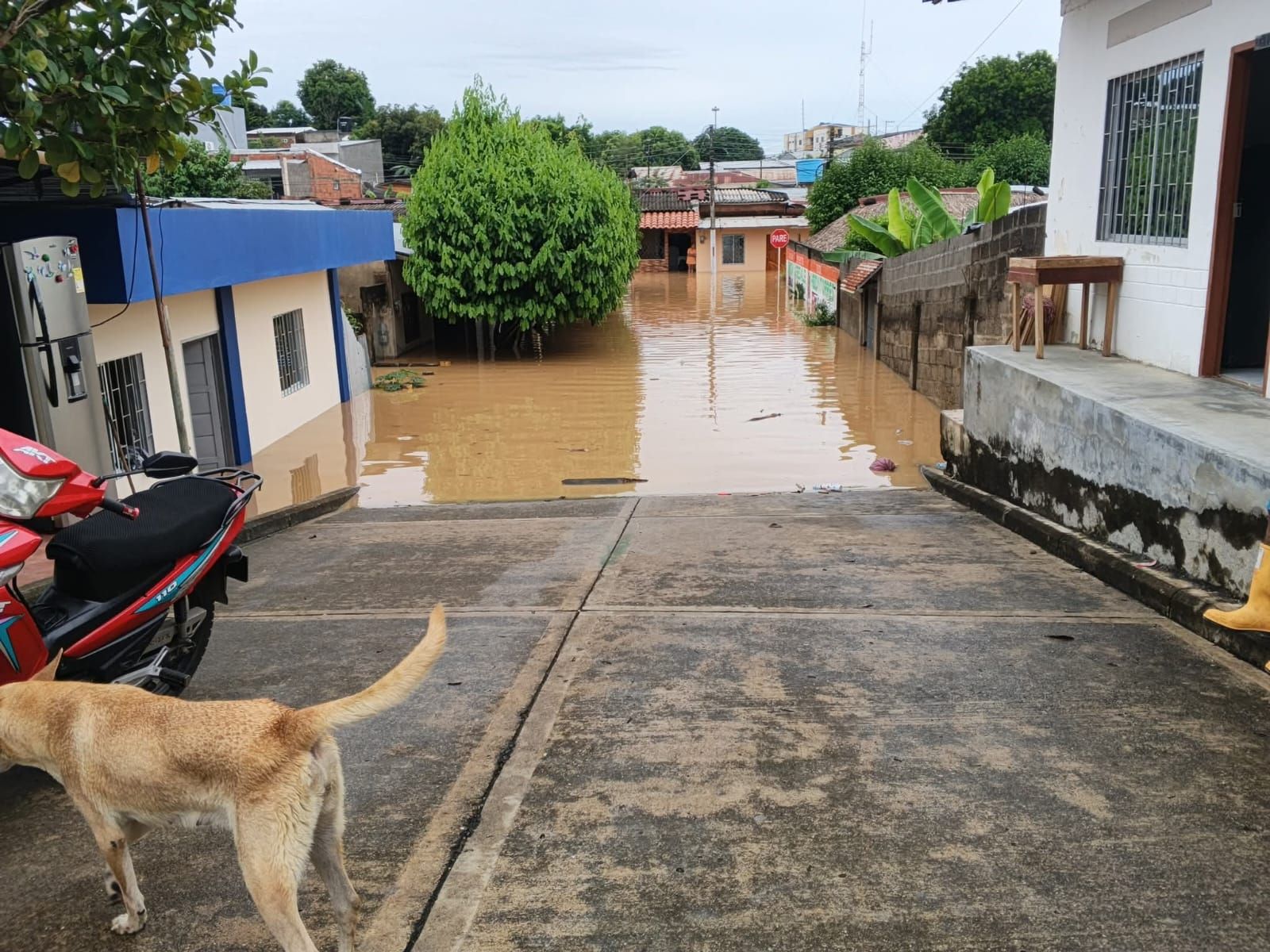 1Tierralta. Créditos: suministrada por Ana Petro