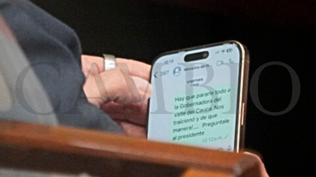chat_de_benedetti_1.jpg