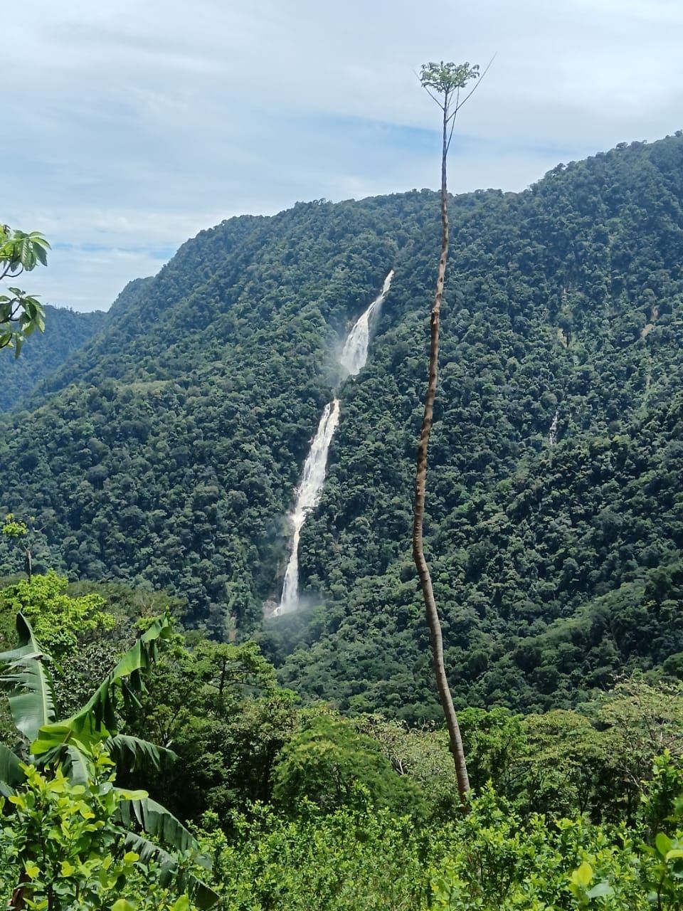 Cascada Chorros de Sardinata (Vista Hermosa).