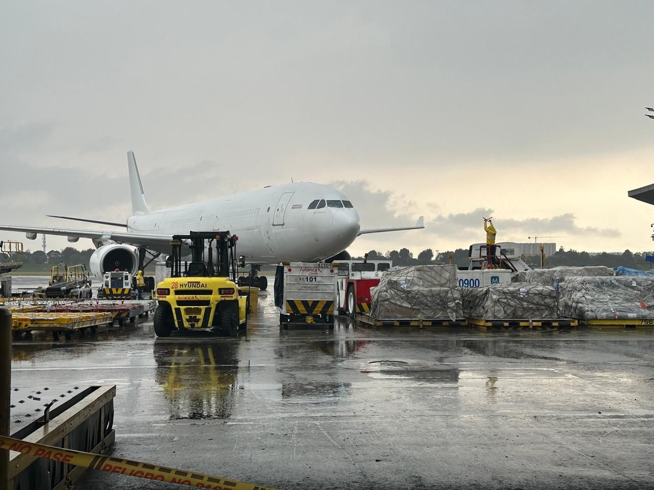 Carga aérea de flores colombianas