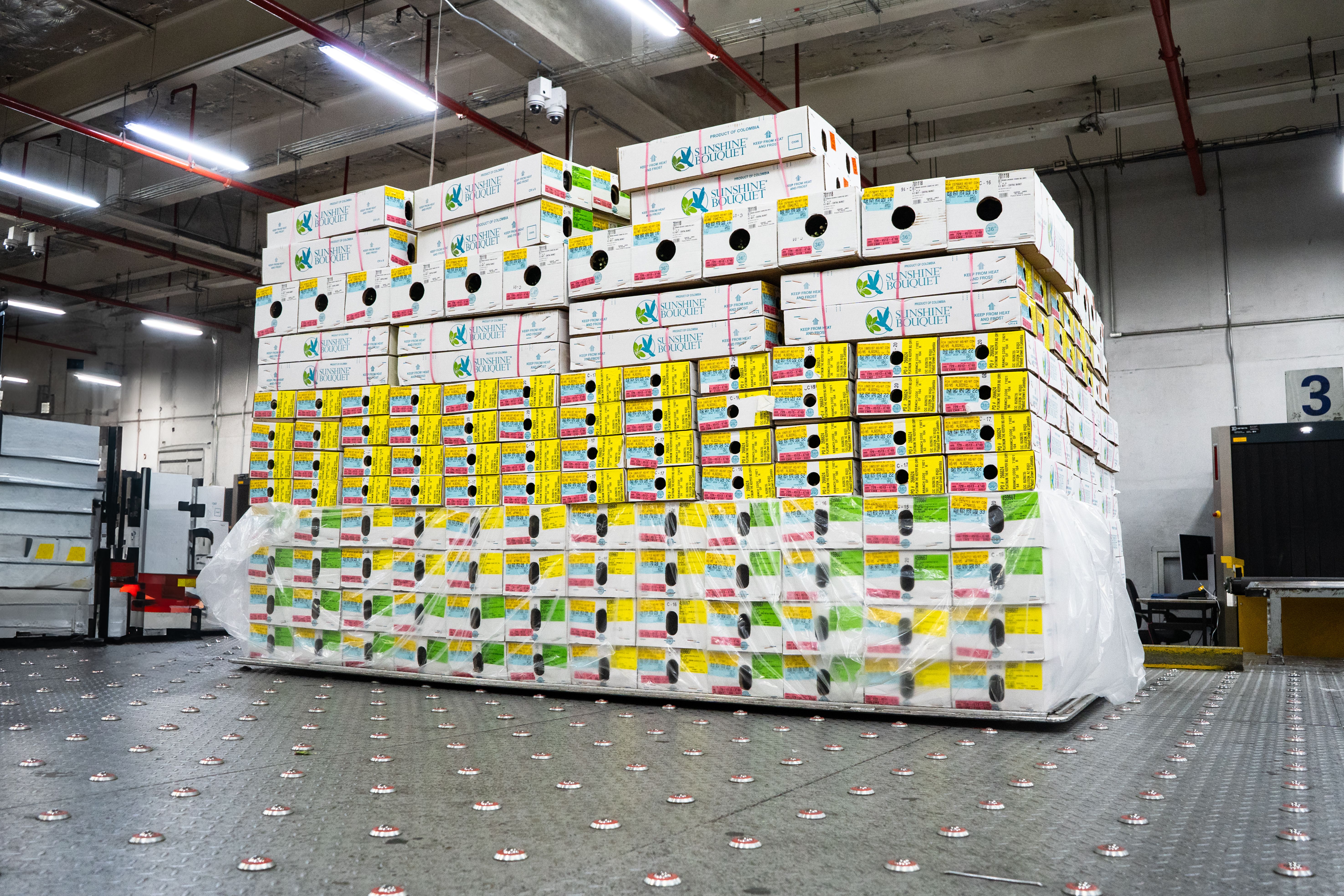 Cajas de flores colombianas