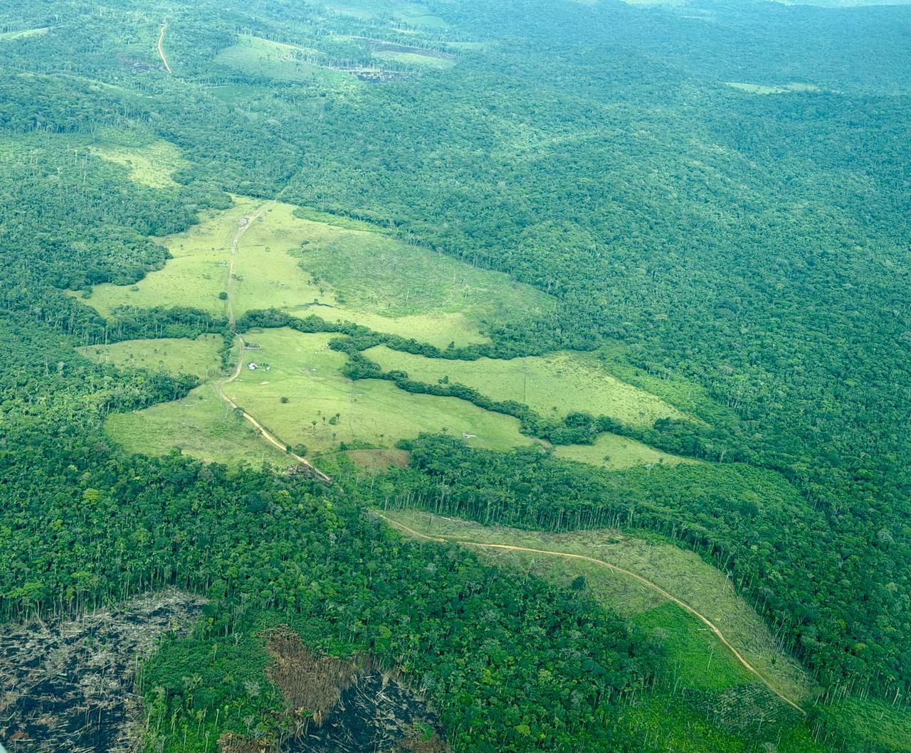 Deforestación sur de Colombia Parques Nacionales