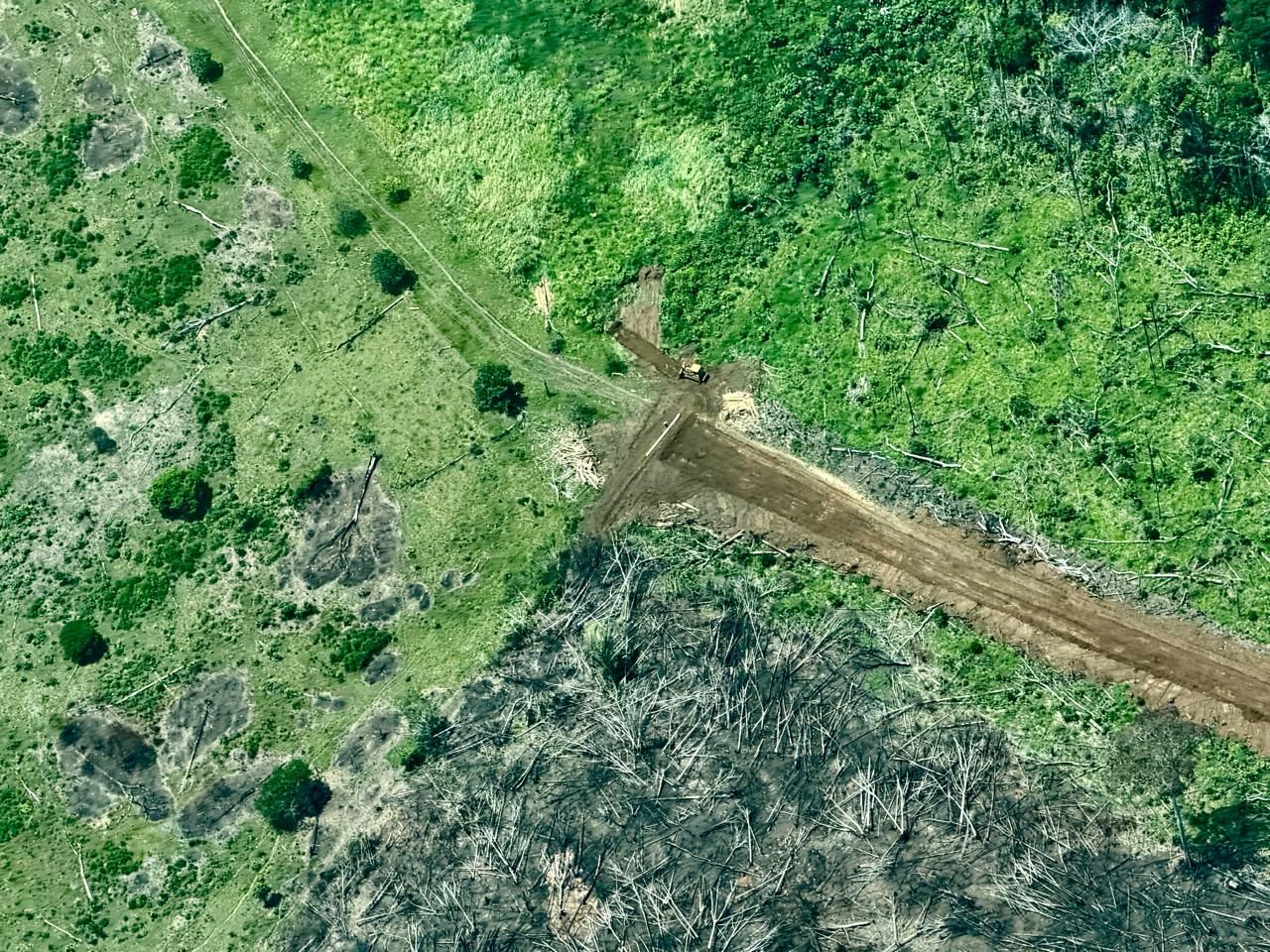 Deforestacion 2 02032026