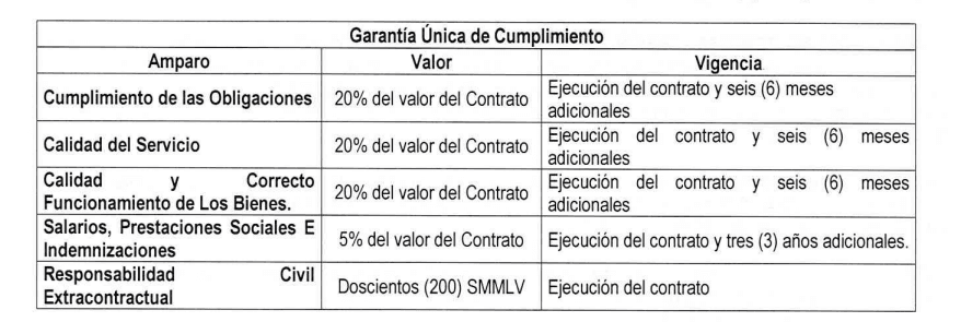 Garantías iniciales contrato pasaportes