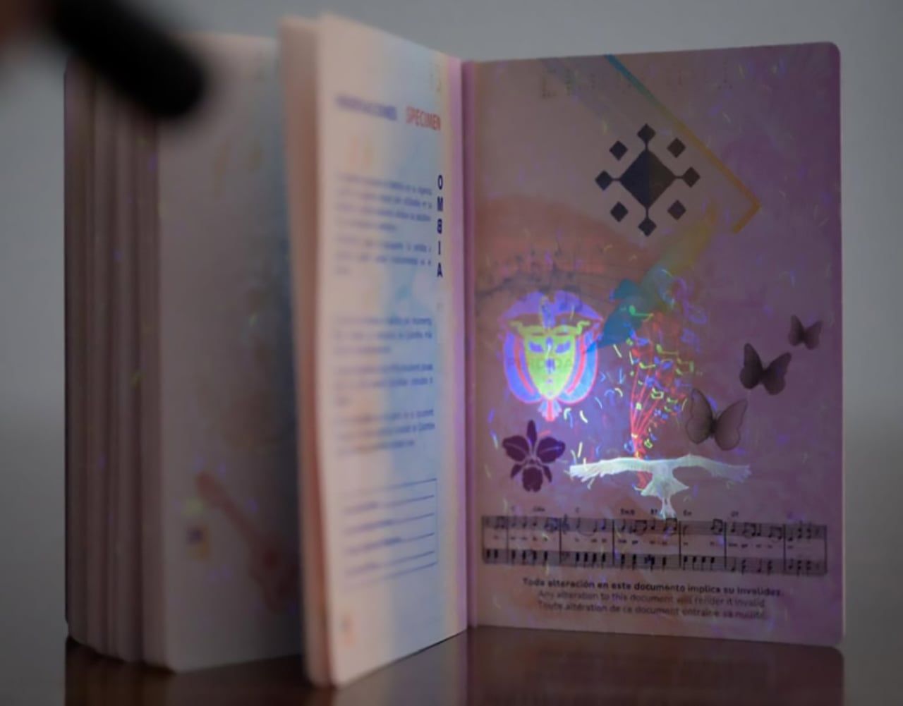 Nuevo pasaporte