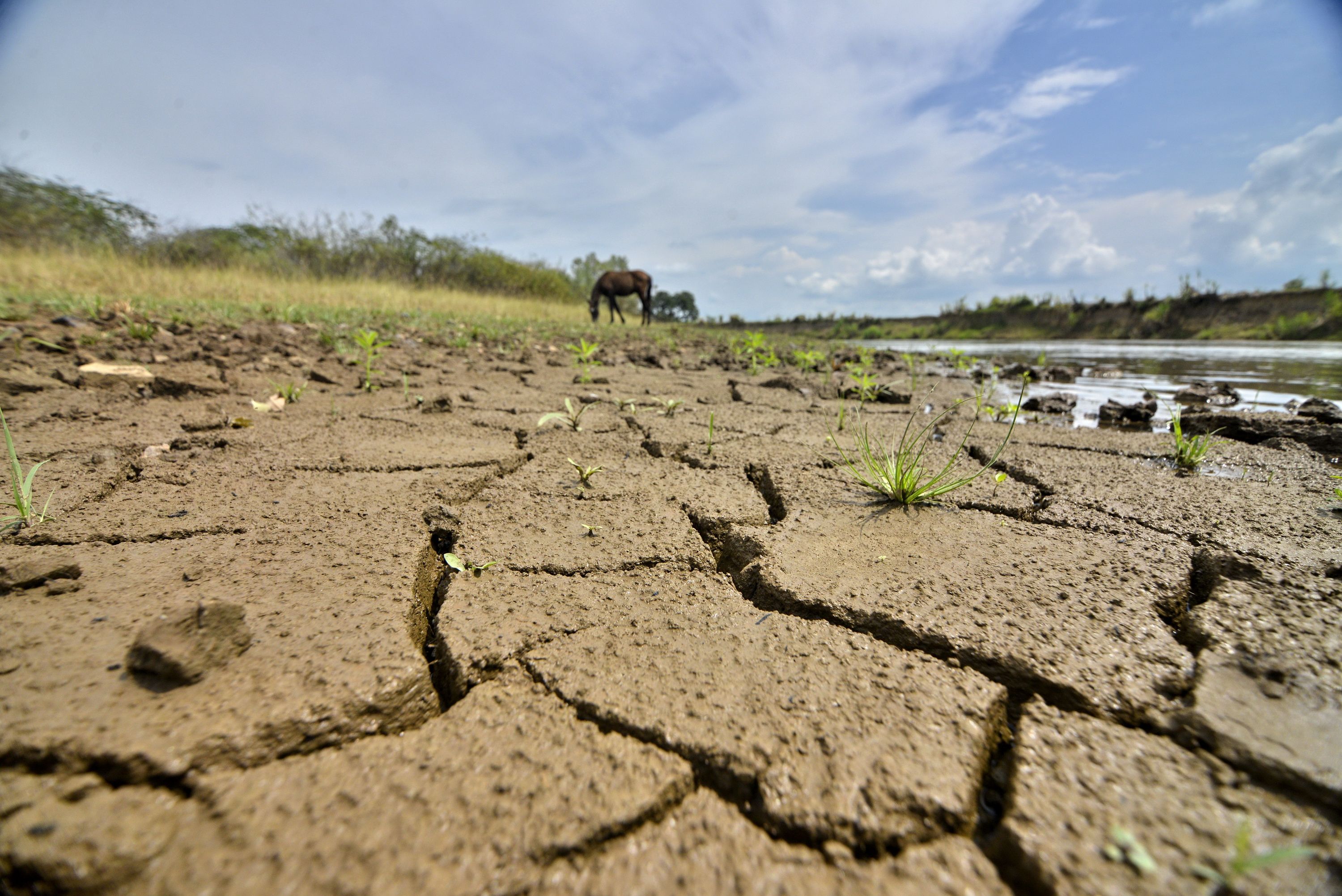 Cambios en la temperatura del océano y los vientos anticipan la llegada de El Niño