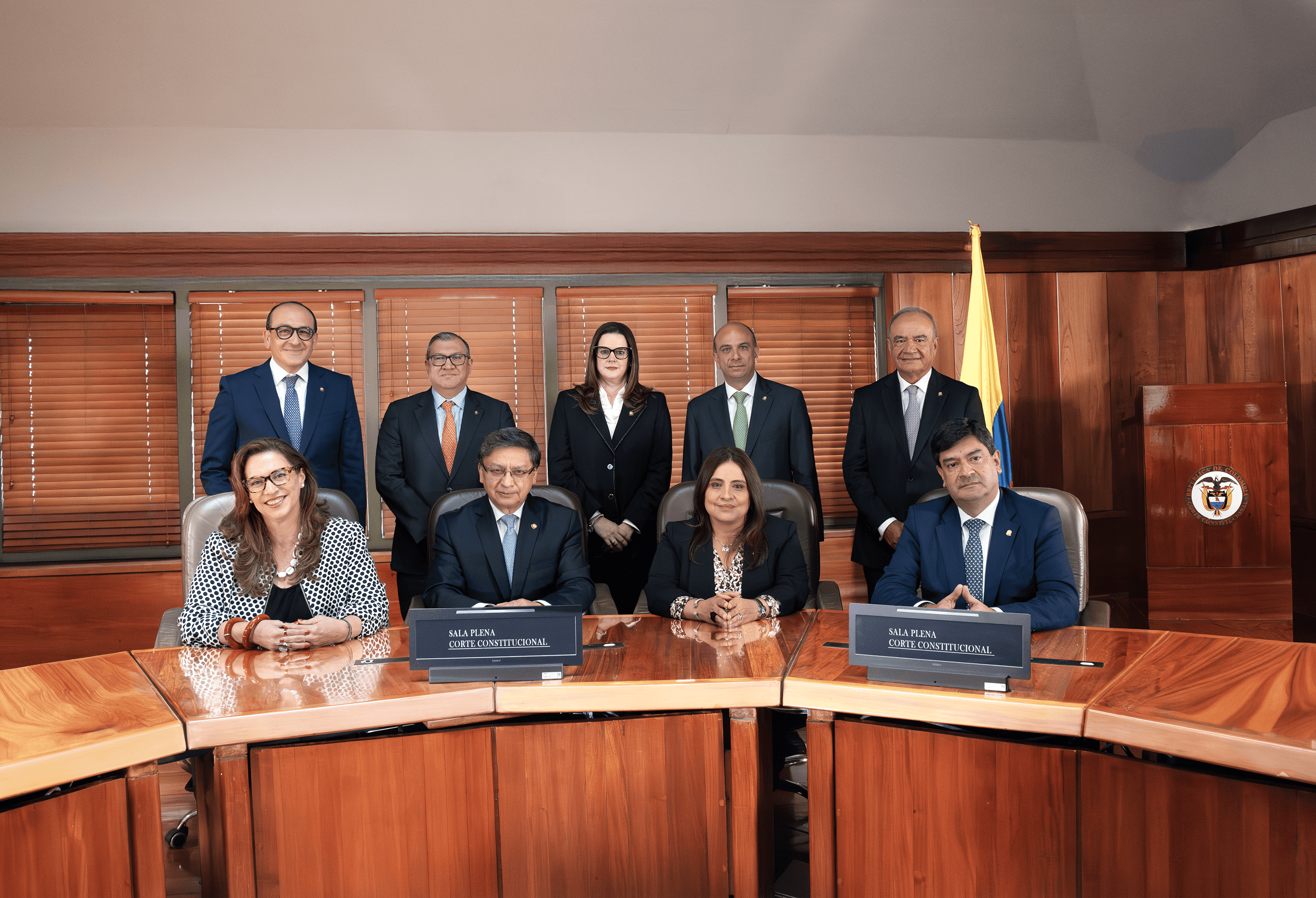 Sala Plena Corte Constitucional 2025