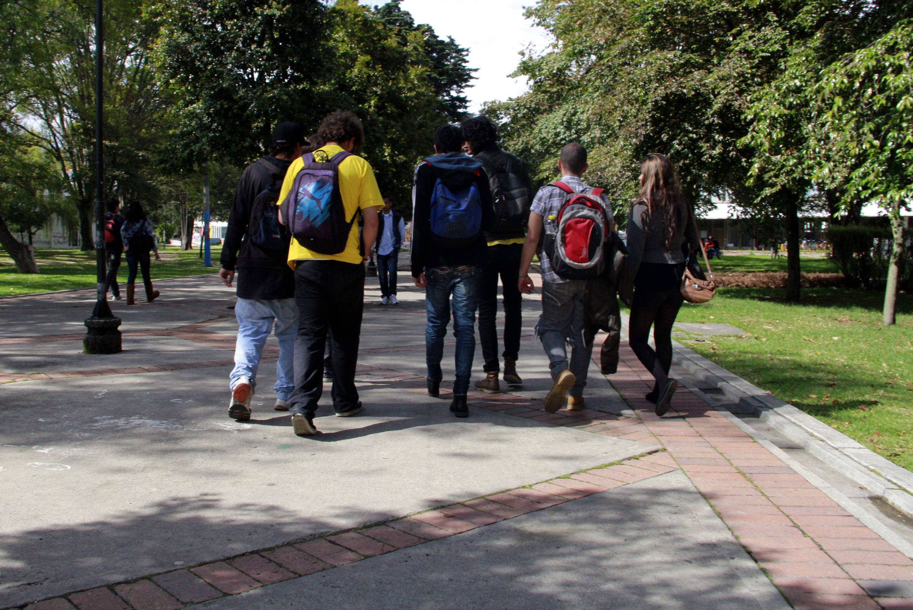 Estudio nacional encuestó a 1.200 universitarios