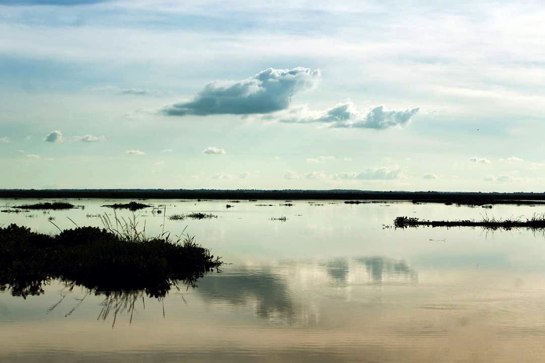 cienaga_de_la_mojana.jpg