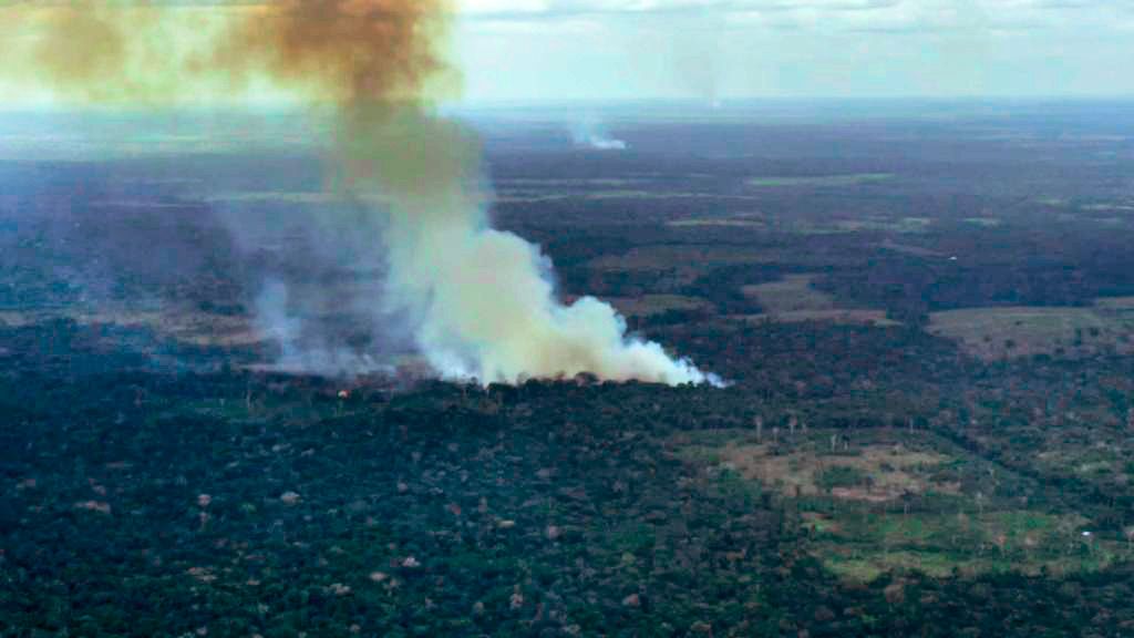 incendios_amazonia1_1.jpeg